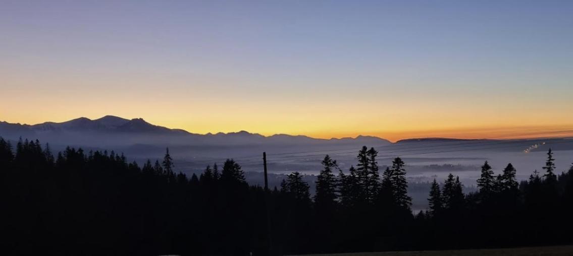 Apartament Willa Hrube parter z tarasem i kominkiem Zakopane Bagian luar foto